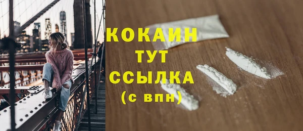 гашик Кулебаки