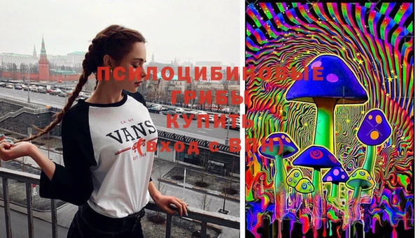 гашик Кулебаки