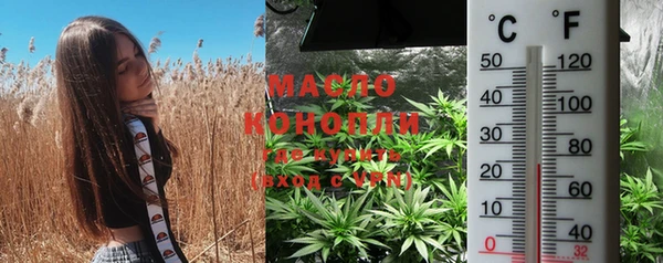 гашик Кулебаки